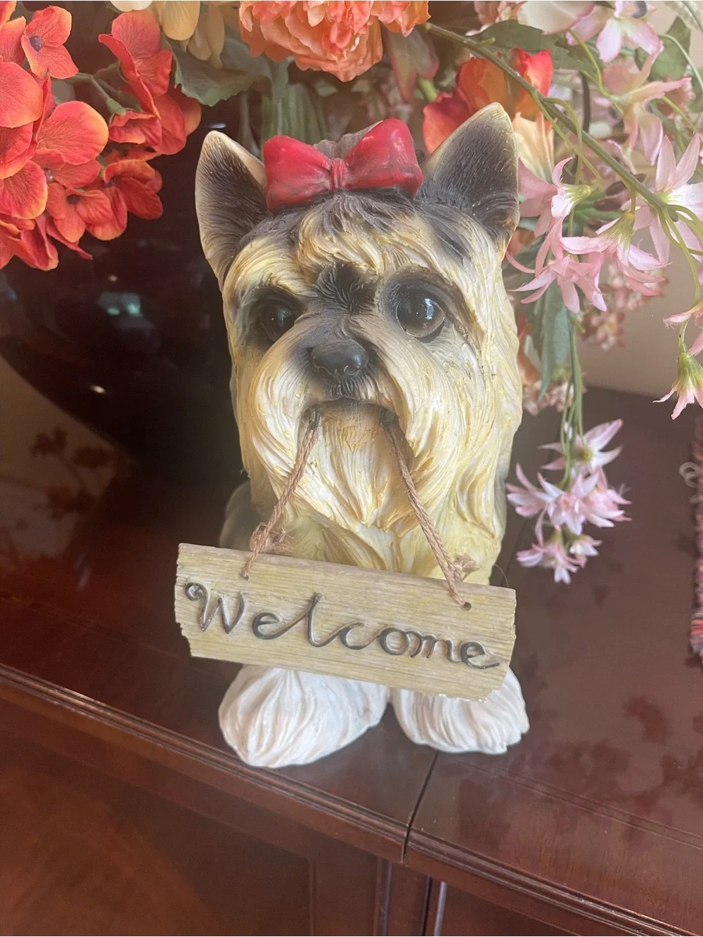N/A yorkie dog